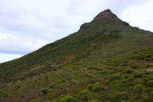 GR 131 Tenerife