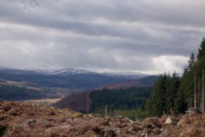 Affric Kintail