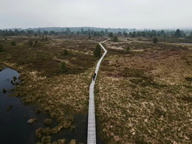 Königliches Torfmoor