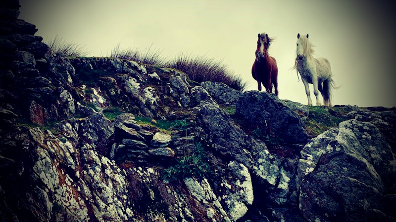 Snowdonia