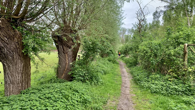 Treinstapper Gent Dampoort - Wetteren