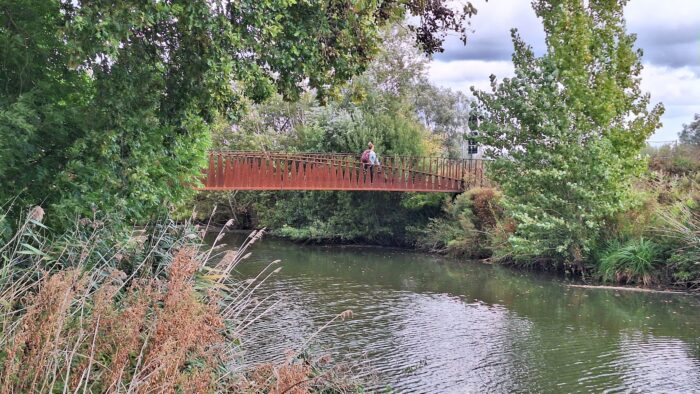 Treinstapper Wetteren – Schoonaarde