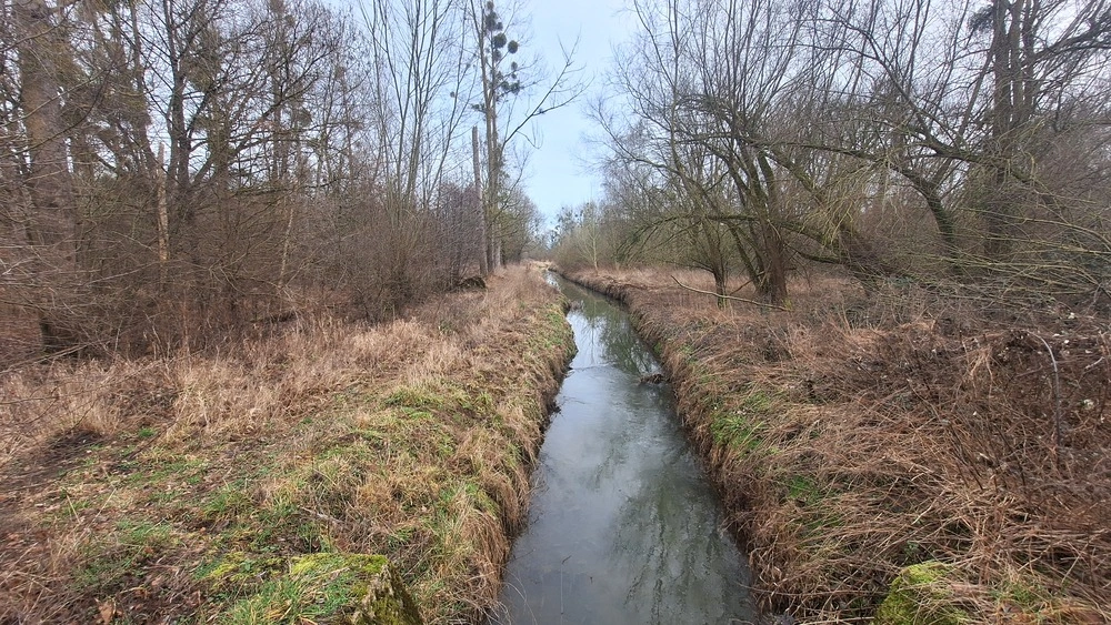 Treinstapper Bilzen - Diepenbeek