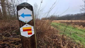 Treinstapper Bilzen - Diepenbeek